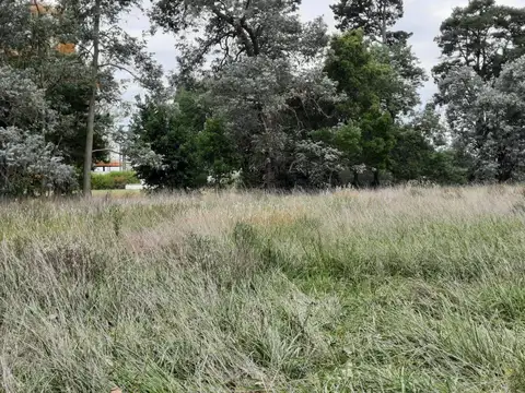 LOTES EN VENTA EN CHASCOMUS