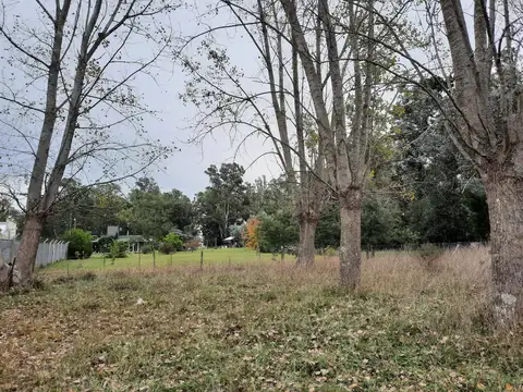 LOTES EN VENTA EN CHASCOMUS