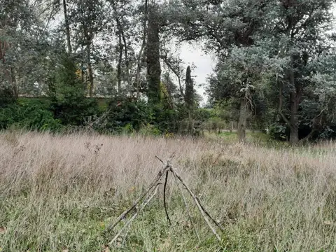 Terreno en Venta en Chascomus, USD 35.000