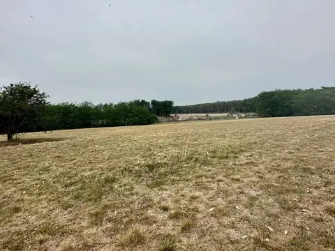 Terreno en Venta de 10000,0 m2