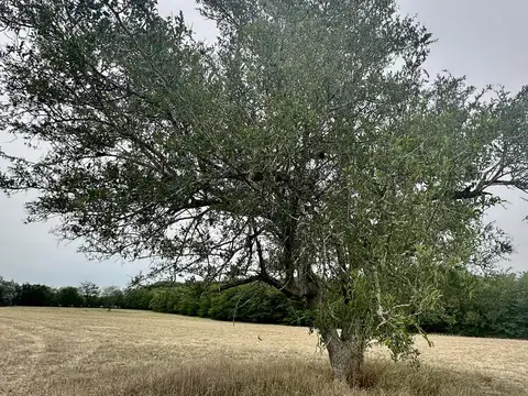 Terreno en Venta en La Ranita, USD 80.000