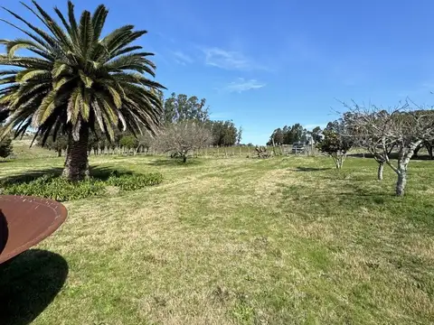CHACRA EN VENTA EN LA BARRA