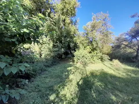 VENDO TERRENO PARQUIZADO DENTRO DEL CASCO EN ESQUINA CTES.