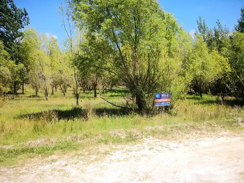 Terreno en Venta de 1000,0 m2