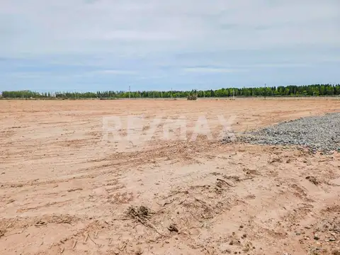 sección 28 fraccion C lote 2