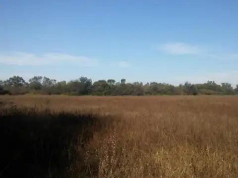 Campo en venta - 188 Hectáreas - Santiago del Estero