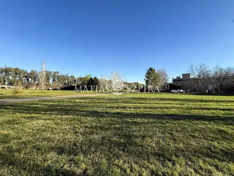 Avenida Domingo Fernandez Beschted