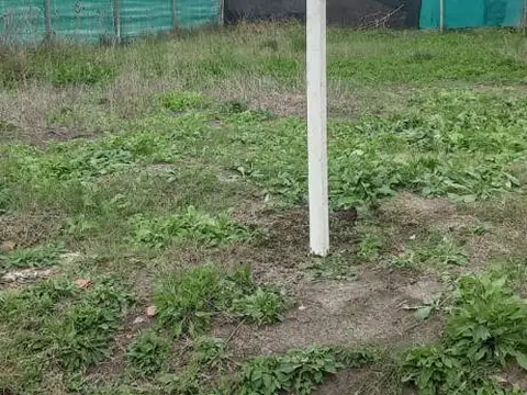 647bis entre 15 y 15bis 1100