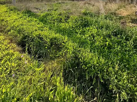 Terreno en Venta en Arana, USD 23.000