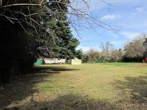 Amplio lote con lindísimo entorno verde en el Barrio de Los Tilos.