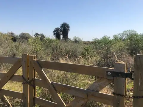 Terreno en Venta en Cortaderas, USD 15.000