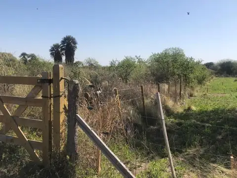 Lote en Palmares - Cortaderas