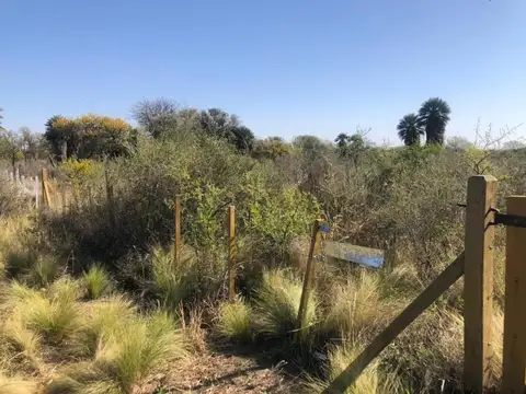 Palmares De Balcarce