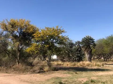 Terreno en Venta de 1192,0 m2