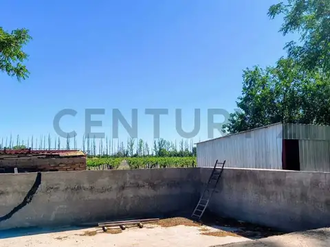 Venta de Finca en zona Este