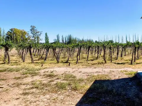 Campo en Venta de 11,15  ha