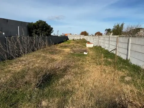 Calle Gaspar di Martino 1000