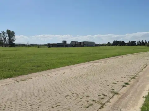 Ruta Nacional 20 100