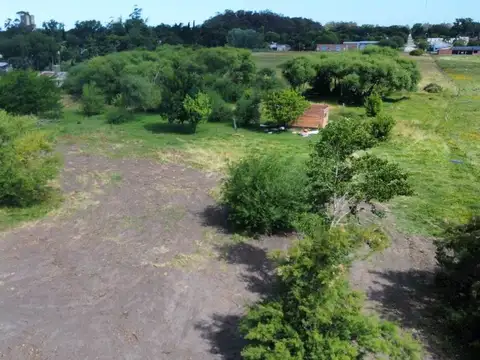 India y Malvinas 100