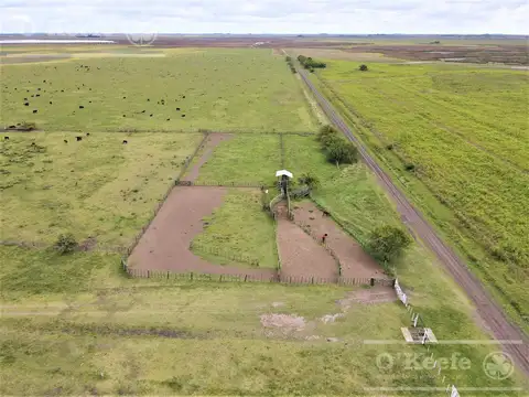 Madariaga 506 has - Campo en Venta - Ganadero Armado.