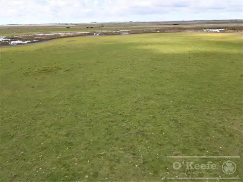 Madariaga 506 has - Campo en Venta - Ganadero Armado.