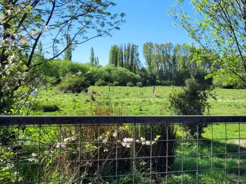 José Hernández 100