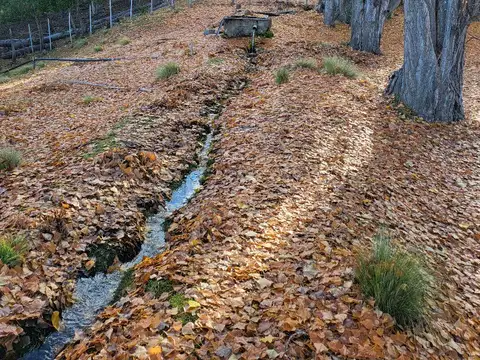 Campo en Venta de 5  ha