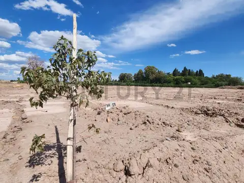 Terreno en Venta de 312,0 m2