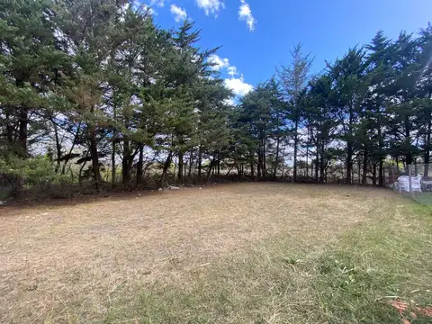 Terreno en Venta de 750,0 m2