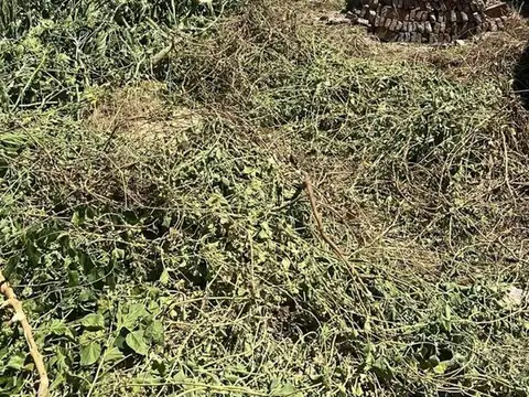 Lote - Terreno en Barrio Sur.