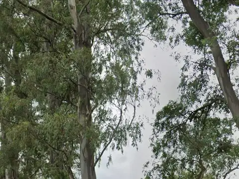 VENTA 12 hectareas, para desarrollo Industrial | ZARATE