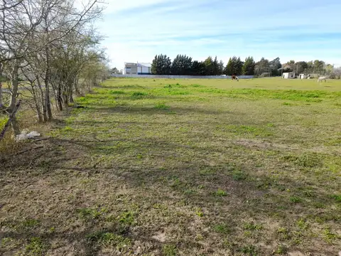 Terreno en Alquiler de 16509,0 m2
