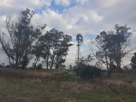 215  has campo agrícola ganadero