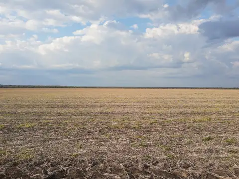 Campo en Venta Mixto