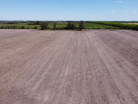 Campo en Venta de 215  ha