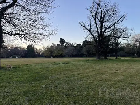 Calixto Oyuela al 1600