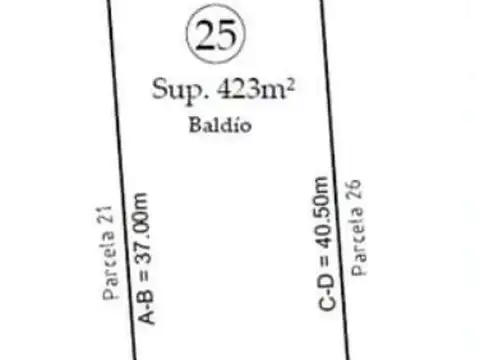 Nicolás Avellaneda, X516 100