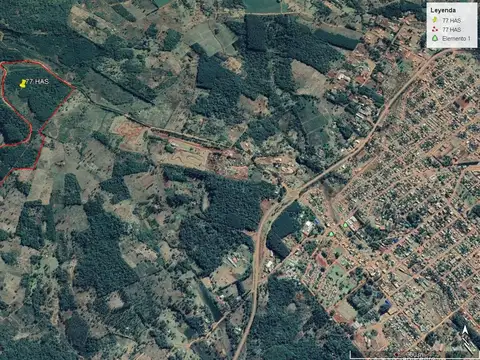 Campo Forestado En Misiones