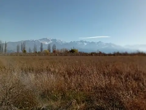 Terreno en La Consulta