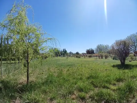 Terreno en Venta de 1000,0 m2