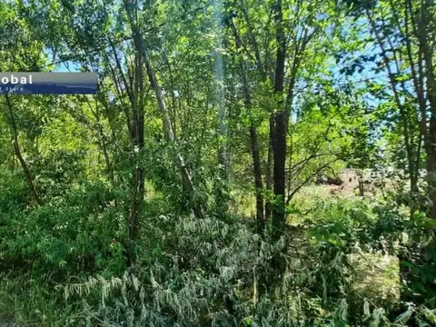 Terreno en Venta 39  mts Frente