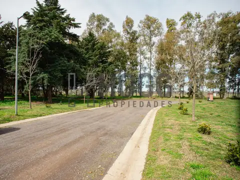 Lote 1000 m2 Barrio El Tropezón. Todos los servicios.