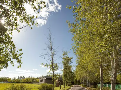 Terreno en Venta en San Antonio De Areco, USD 85.000