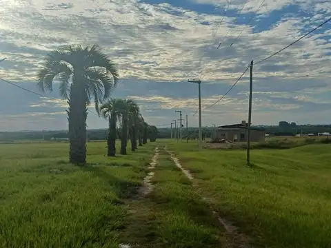 Terreno en Venta de 1001,0 m2