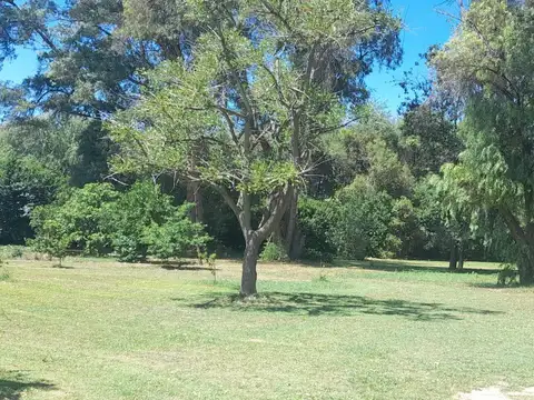 Terreno en  venta en Mercedes, Agote.