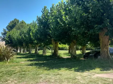 Terreno en  venta en Mercedes, Agote.