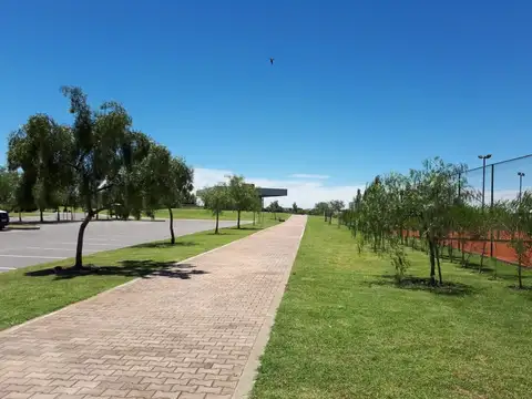 San Matias Area 5 a la laguna 100