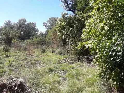 Terreno en Venta 48  mts Frente