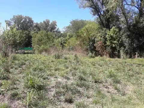 Terreno en venta - 1536Mts2 - Francisco Alvarez