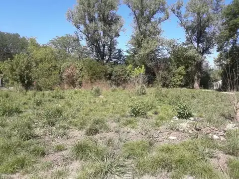 Hipócrates y Constitución